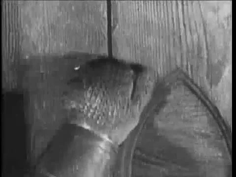 Lockdown shot of man tapping door Stock Footage 260258238