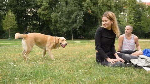 Lockdown shot of two young people playing with dog in park in slow motion 스톡 동영상 114874012