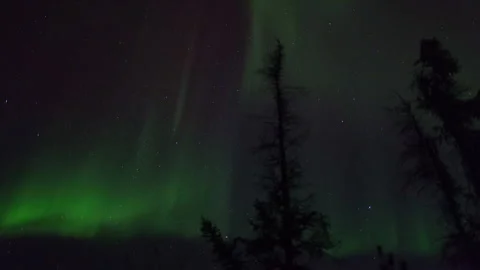 Lockdown Time Lapse Scenic View Of Northern Lights In Forest - British Columbia, Stock Footage 160315104