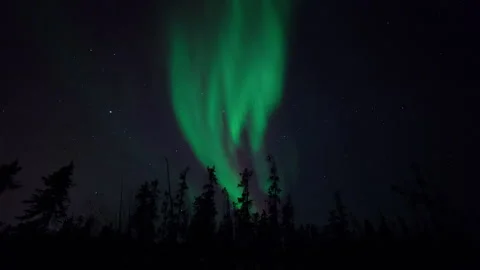 Lockdown Time Lapse Scenic View Of Trees In Forest While Aurora In Starry Sky - Stock Footage 160318419