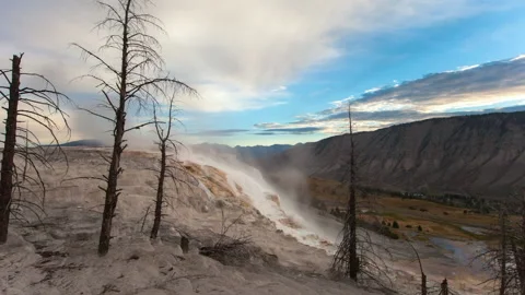 Lockdown Time Lapse Shot Of Bare Plants Over Mountain During Winter Season - Stock Footage 160315156