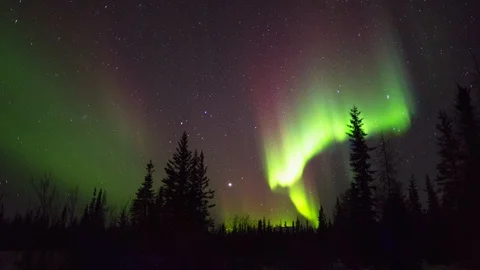 Lockdown time lapse shot of green northern lights over trees in dark at night - Stock Footage 130068990