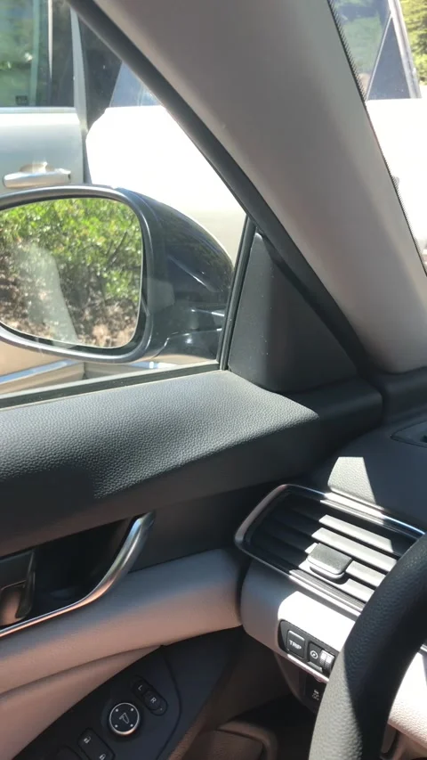 Locked Doors Keep Curious Bear from Driver, usa - 12 Jul 2019 Stock Footage 205351575