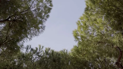 Locked down real time establishing shot 스톡 동영상 93549690