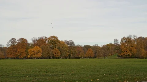 Locked down real time shot of the English garden in Munich. The English garden Stock Footage 114241220