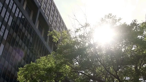 Locked down shot of corporate office building with solar lens flare coming throu Stock Footage