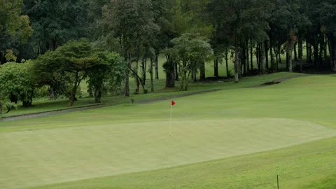 Locked down shot of green golf field, tropical forest and meadow. Aerial view of 스톡 동영상 250330854