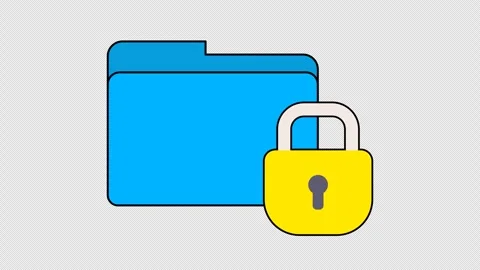 Locked folder files Stock Footage 333670138