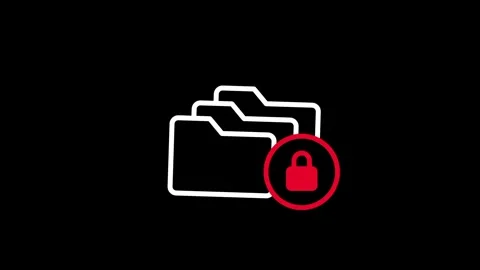 Locked Folder Stock Footage 334343038