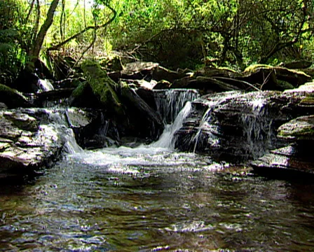 Locked off low angle shot of a rippling stream Stock Footage 36371427