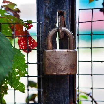 Locked padlock on gate locked padlock on gate close up outdoors Copyright:... Stock Photos