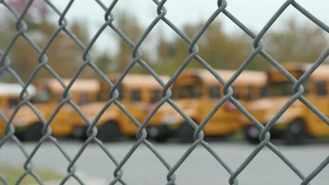 Locked Parked School Buses Stock Footage 133830099
