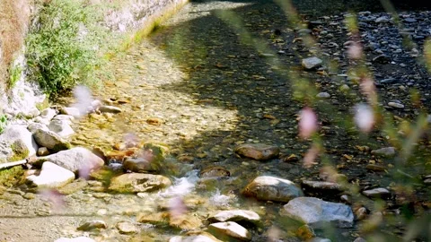 Locked shot of a small river flowing under the sun Video stock 152733594