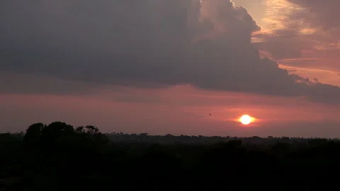 Locked off shot of the sunset over a forest Stock Footage 240923277