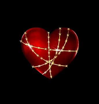 Locked solid heart Illustrazione stock