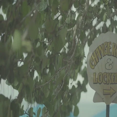 Locker Signage on Clam Stock Footage 69686632