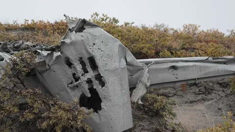 Lockheed T-33 Aircraft Wreckage Near Kangerlussuaq, Greenland 스톡 동영상 345635153