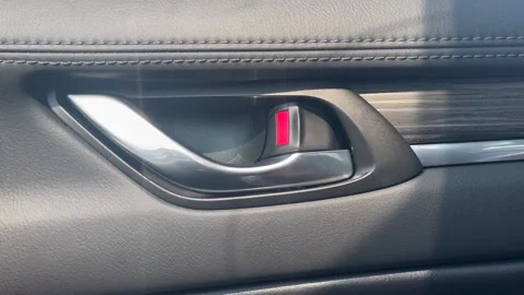 Locking a car door Stock Footage 249712359