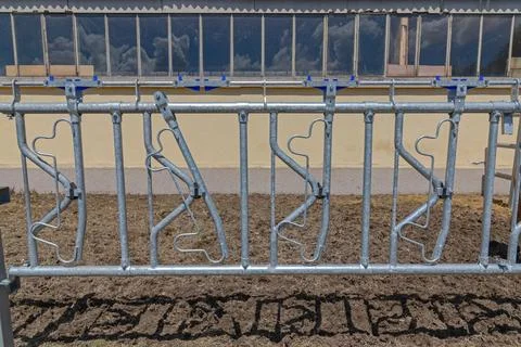 Locking Cattle Headlock Barrier 스톡 사진
