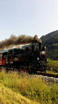 Locomotive and grasses (sky, nature, train, summer) Stock Photos