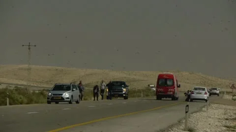 Locust 4 Stockbeeldmateriaal 21979240