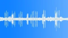 Locust and birdSound Effect