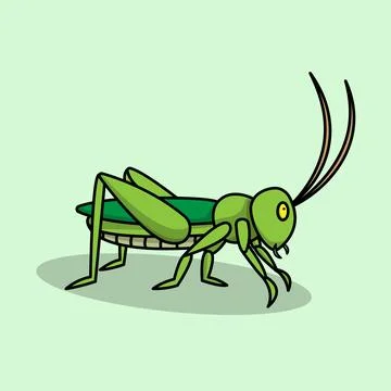 Locust Stock Illustration