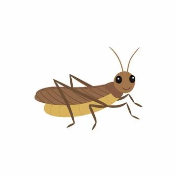 Locust. Vector illustration isolated on white background. Stock Illustration