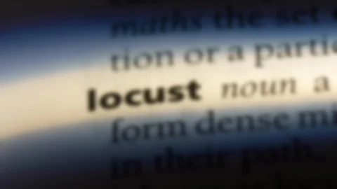 Locust word in a dictionary. Stock Footage 99562825