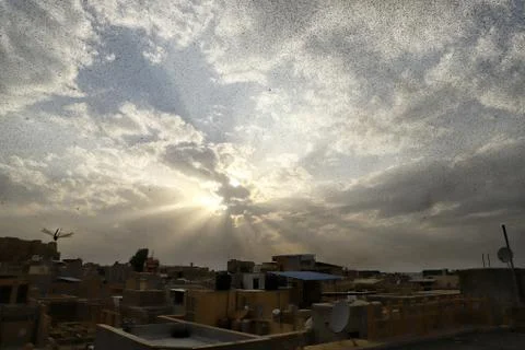 Locusts attack Stock Photos