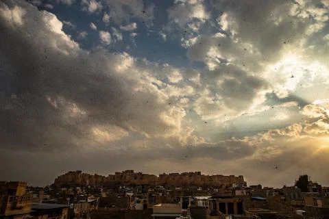 Locusts attack Stock Photos