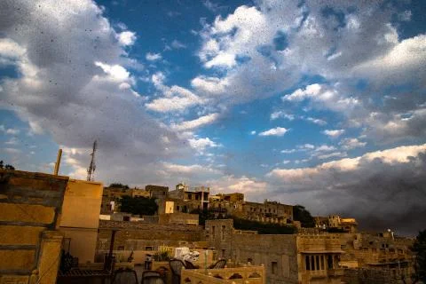 Locusts attack Stock Photos