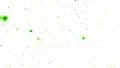 Locusts bugs flies insects swarming flying buzzing pests overlay element composi HD Footage