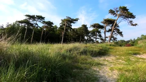 Löderup, Skåne, Sweden, Baltic Sea Stock Footage 219819829