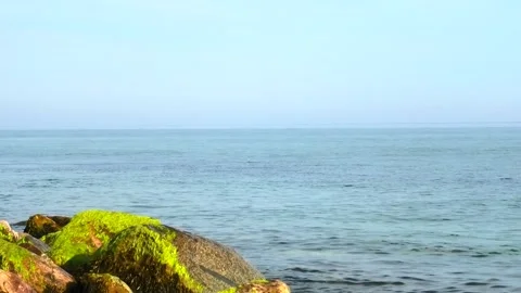 Löderup, Skåne, Sweden, Baltic Sea Stock Footage 219819849