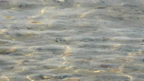 Löderup, Skåne, Sweden, Baltic Sea Stock Footage 219820112