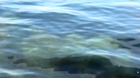 Löderup, Skåne, Sweden, Baltic Sea Stock Footage 219820206