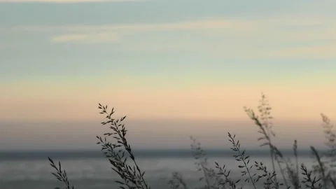 Löderup, Skåne, Sweden, Baltic Sea Stock Footage 219820307