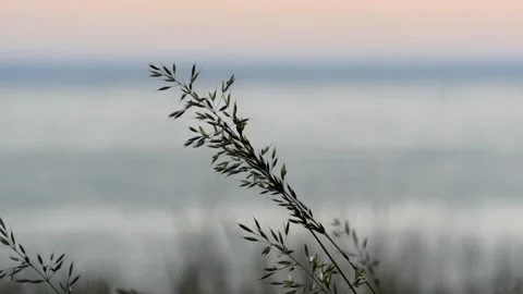 Löderup, Skåne, Sweden, Baltic Sea Stock Footage 219820312