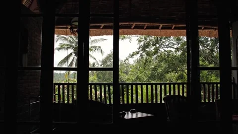 Lodge in the jungle 1 Stock Footage 260180954