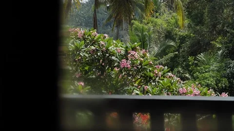 Lodge in the jungle 2 Stock Footage 260180953