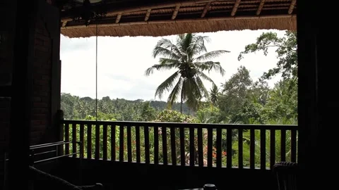 Lodge in the jungle 4 Stock Footage 260180956