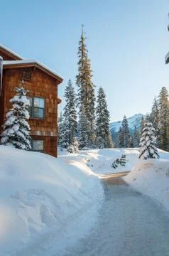Lodge in winter forest Stock Photos