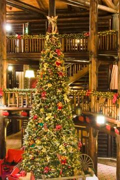 Lodge xmas tree Stock Photos