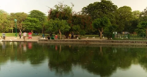Lodhi Gardens Time Lapse Stock Footage 73000100