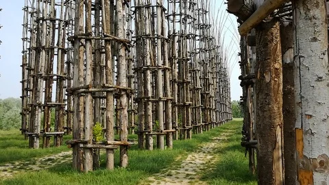 Lodi. Cattedrale Vegetale, inner view. Stock Footage 94421889
