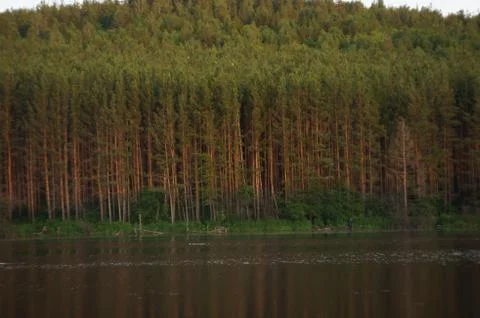 Loess pond Stockfoto's