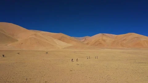Loess sand, difficult area, poverty-stricken area, Video stock 241964905