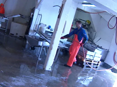 Lofoten Islands the fish processing factory Stock Footage 141934604