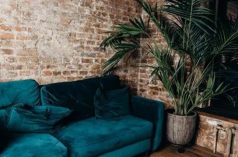Loft brick red wall sofa aqua turquoise blue big huge flower in a pot. Interior Stock Photos